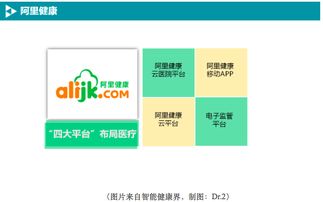 BAT如何布局移動(dòng)醫(yī)療數(shù)據(jù)處理服務(wù) 戰(zhàn)略、技術(shù)與未來展望